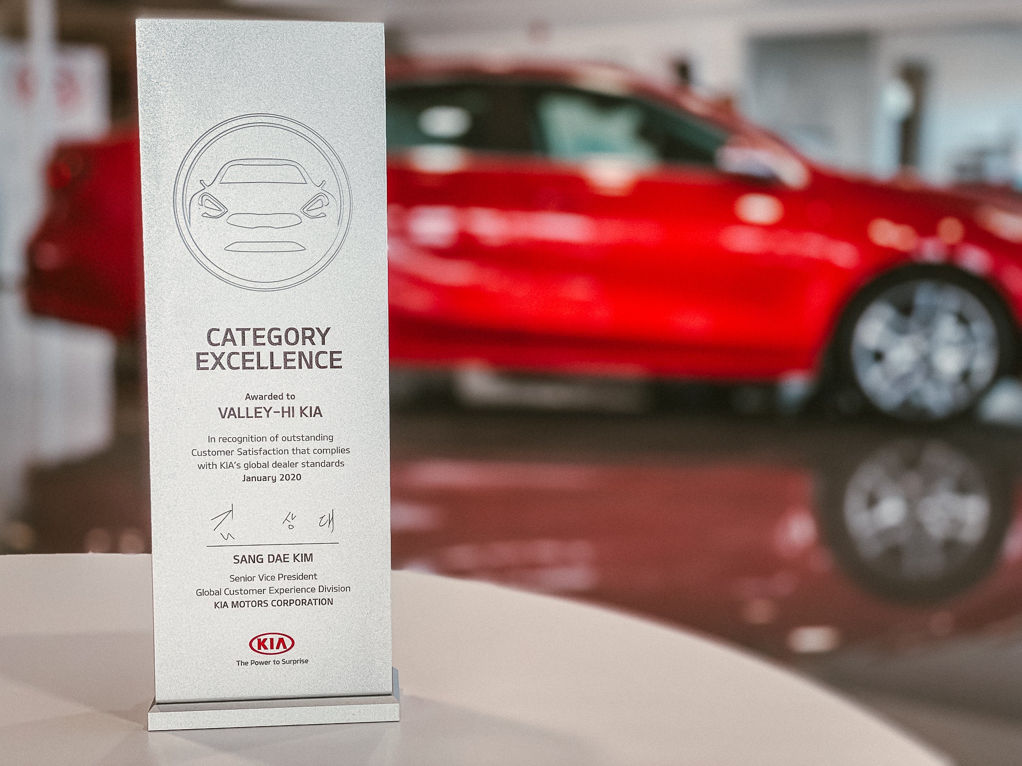 2020 Category Excellence Dealer Award